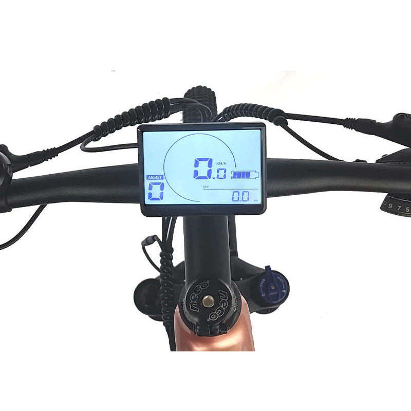 gogobest gm26 electric bike display unit