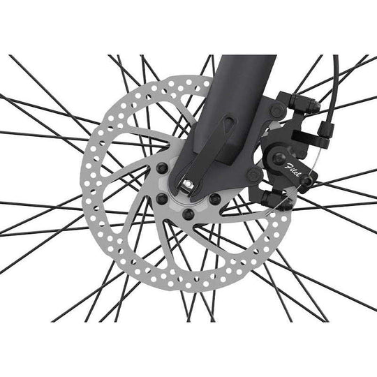 Gogobest GM30 electric mountain bike mechanical brake disc