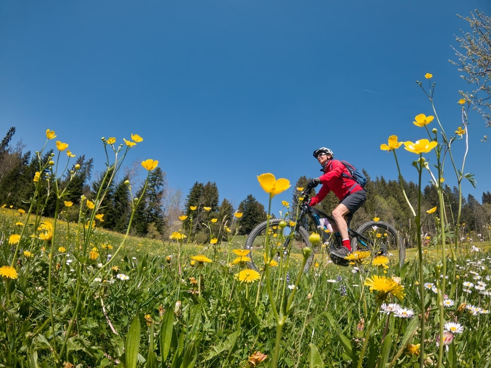 Woman riding bicycle through field of flowers