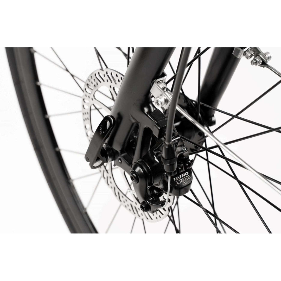 Avaris 3.6 electric bike brake disc