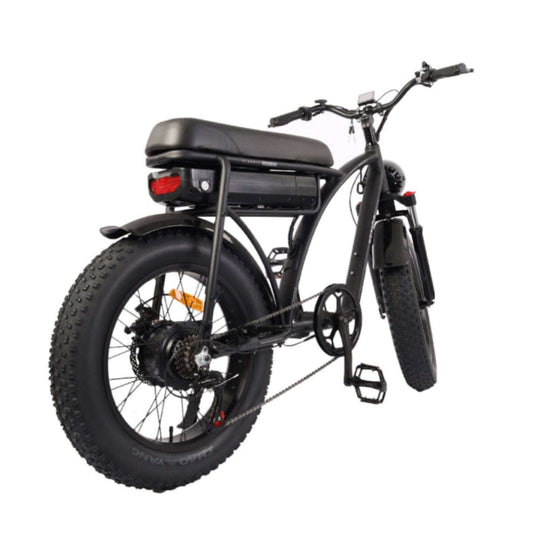 BEZIOR XF001 retro electric bike with large two seater saddle