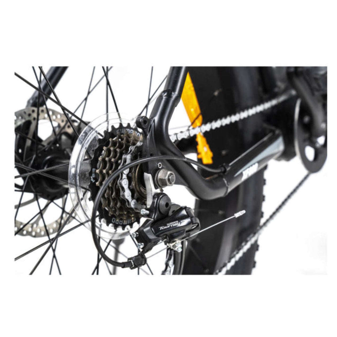 BEZIOR XF800 electric mountain bike  chain and gears